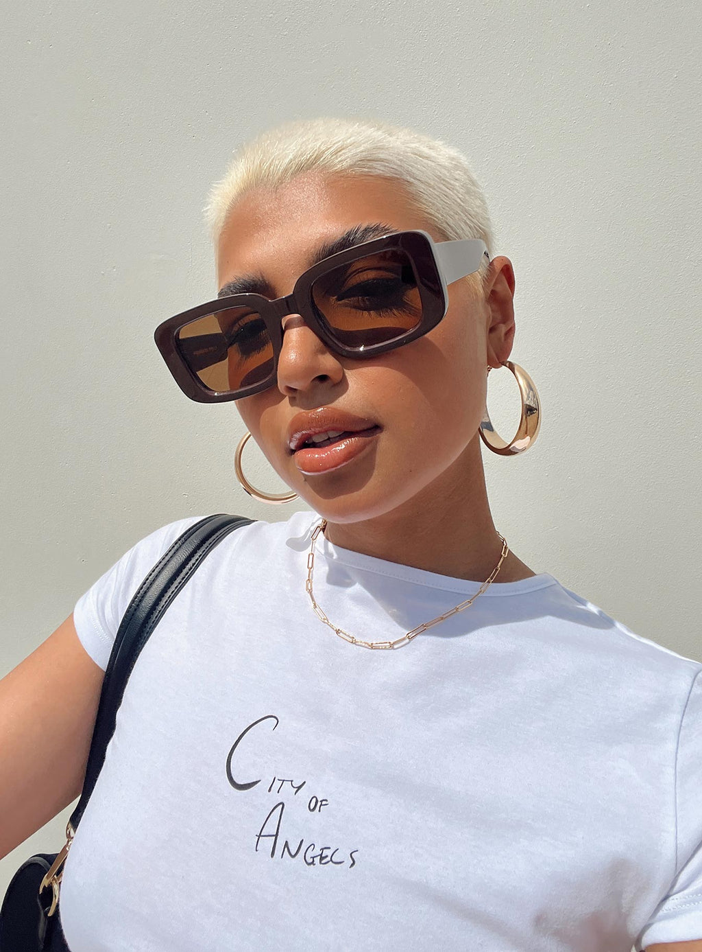 Dakin Sunglasses Brown