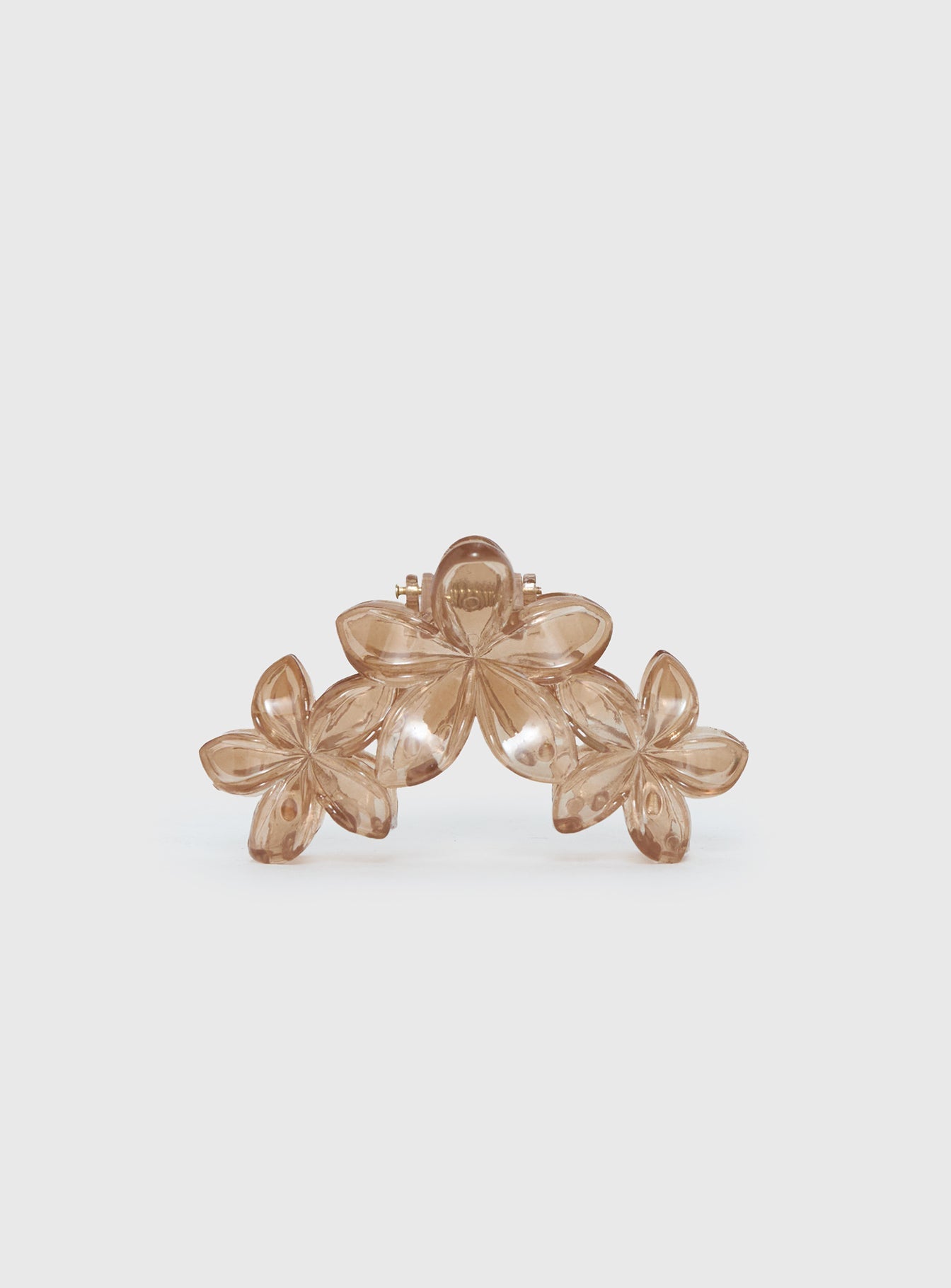 Radiant Beam Floral Hair Clip Brown