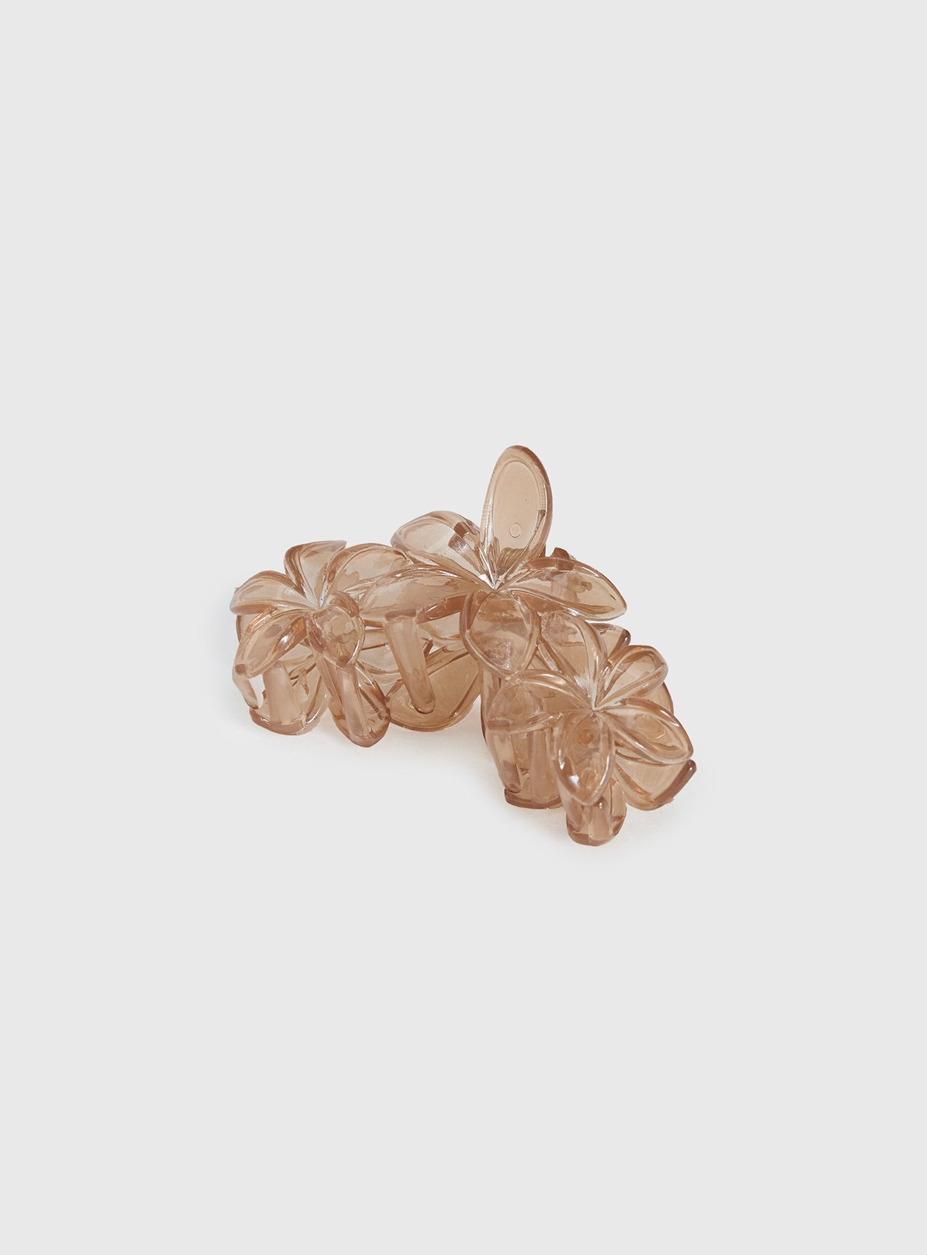 Radiant Beam Floral Hair Clip Brown