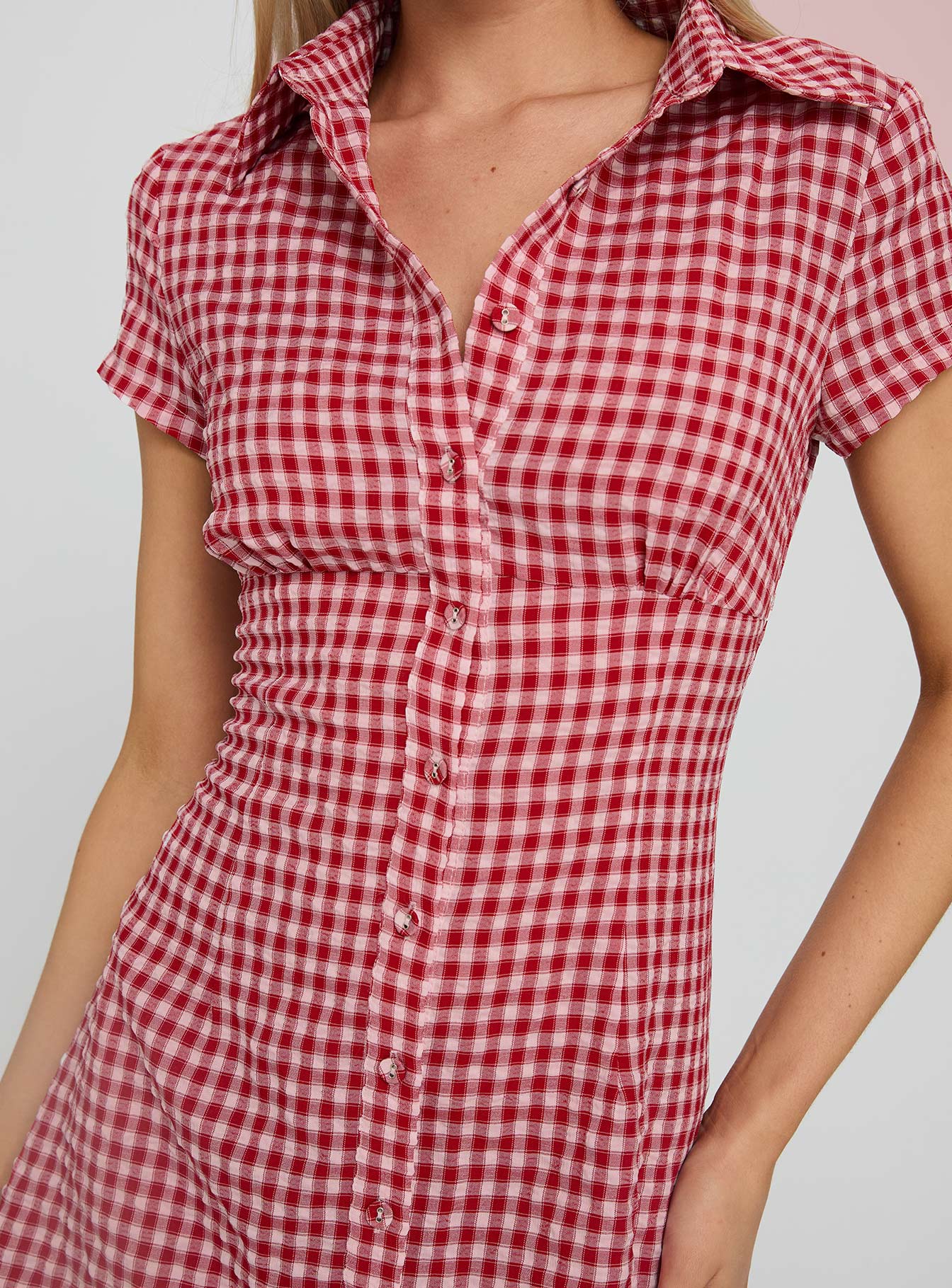 Motley Mini Dress Red Check