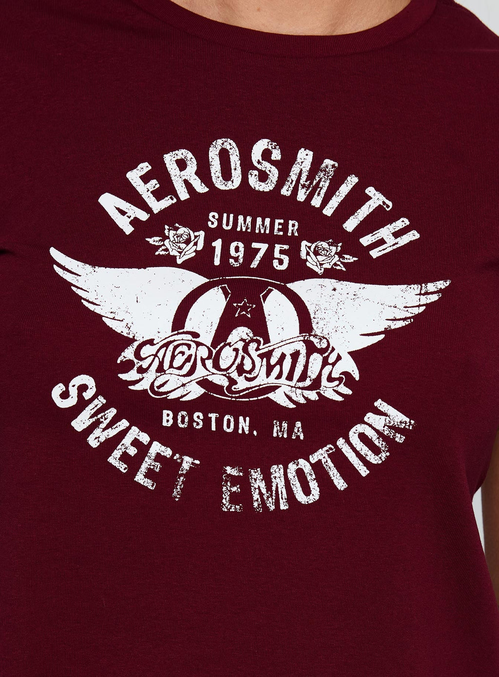 Aerosmith Vintage Graphic Top Burgundy