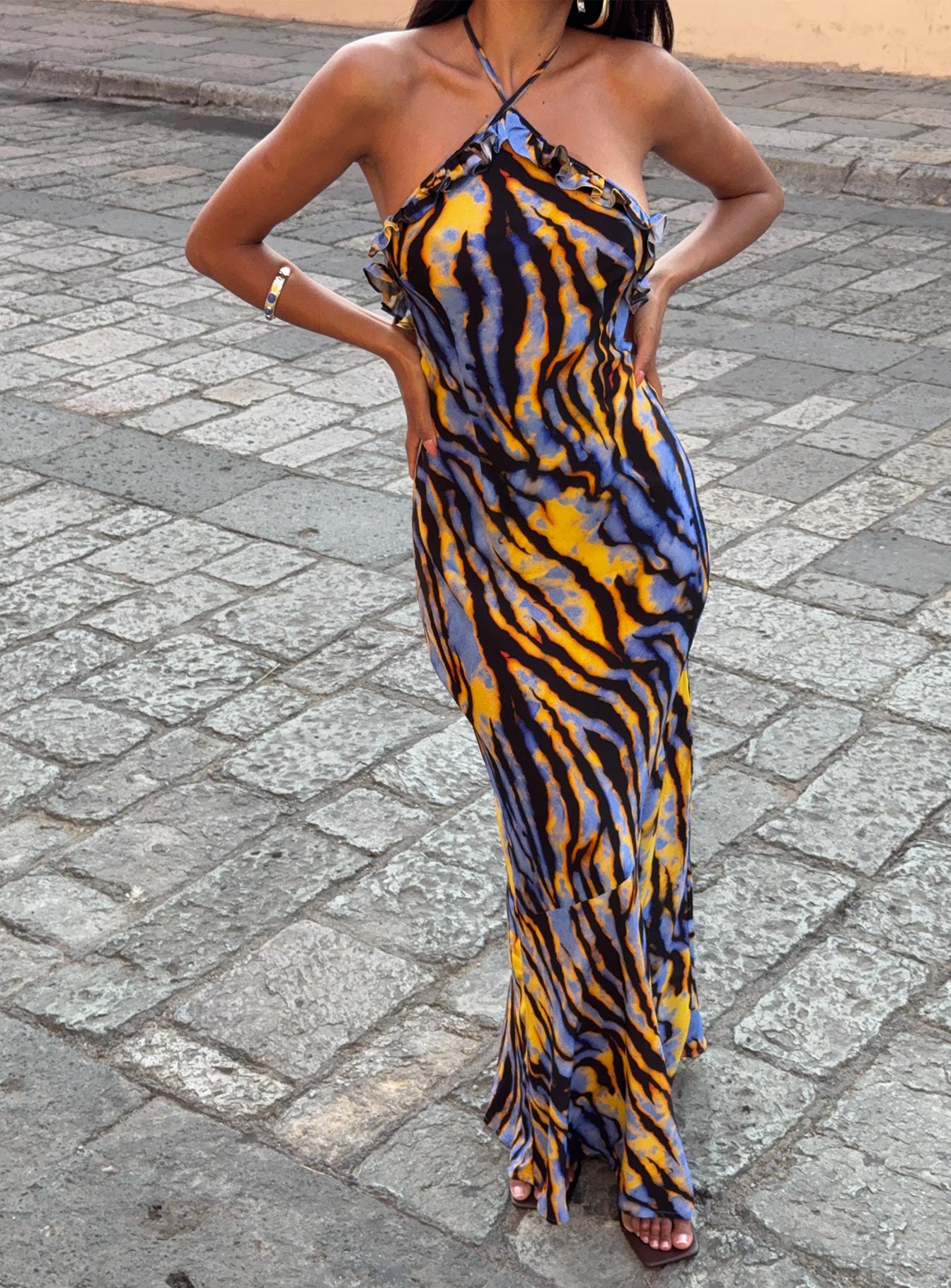 Virginia Beach Backless Maxi Dress Blue Zebra
